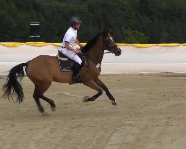 Lindlar Süttenbach 2013