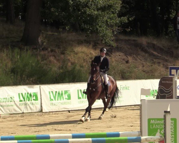 Reitturnier Albersloh 2024