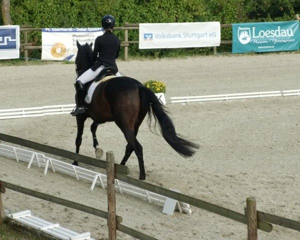 Reitturnier Ditzingen 2024