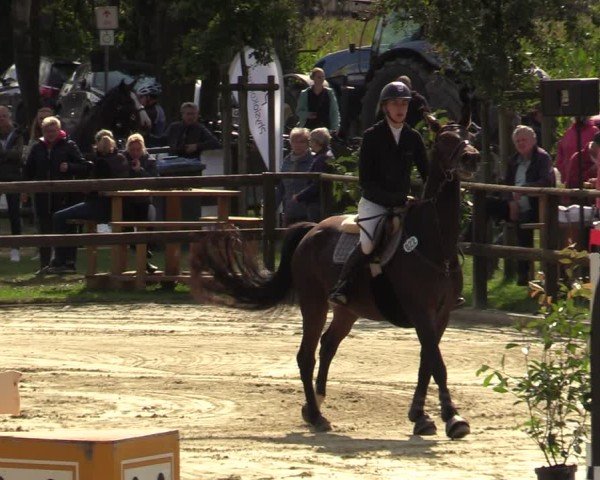 Reitturnier Albersloh 2024