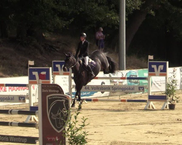 Reitturnier Albersloh 2024