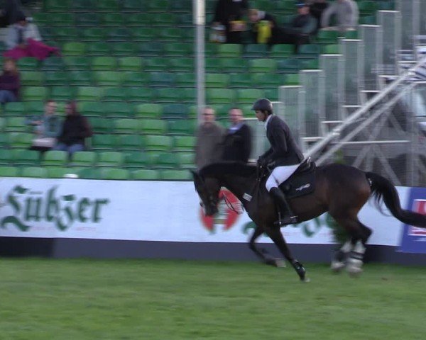 Reitturnier Mühlengeez 2024