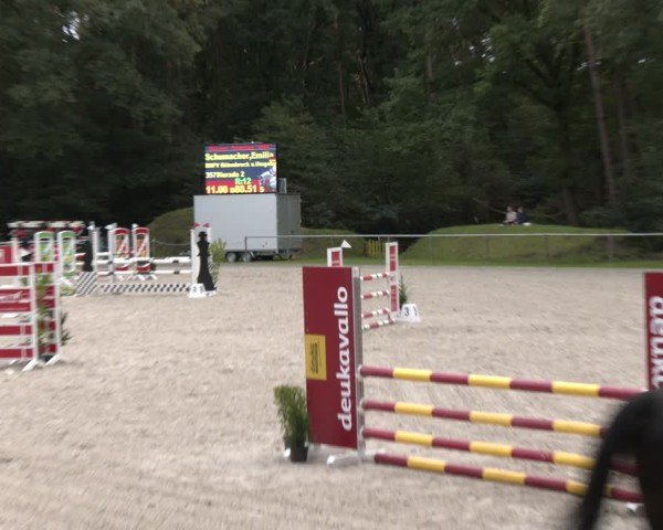 Reitturnier Dörpen 2024