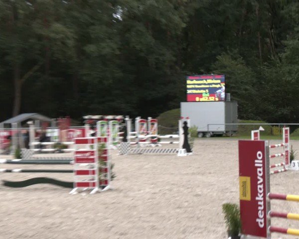 Reitturnier Dörpen 2024