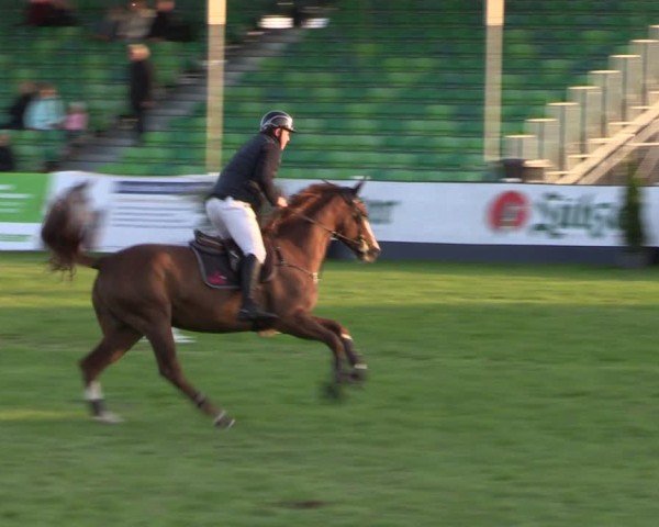 Reitturnier Mühlengeez 2024