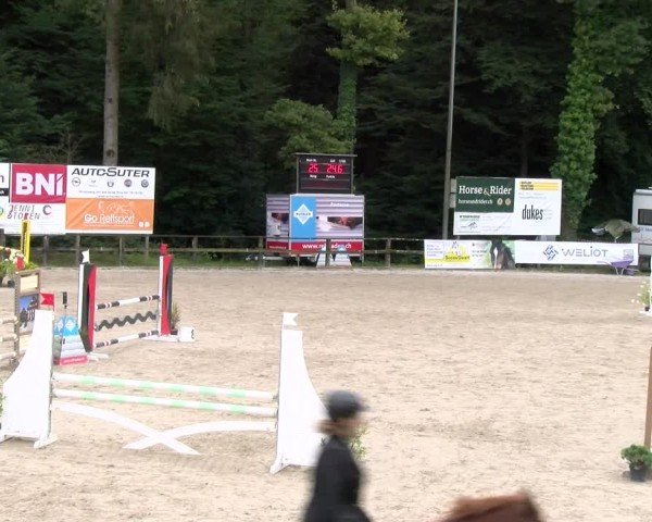 Reitturnier Sins 2024