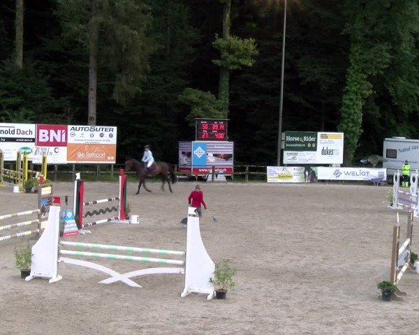 Reitturnier Sins 2024