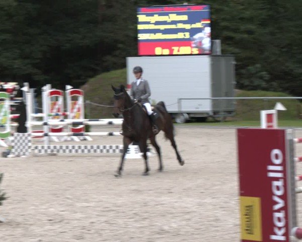 Reitturnier Dörpen 2024