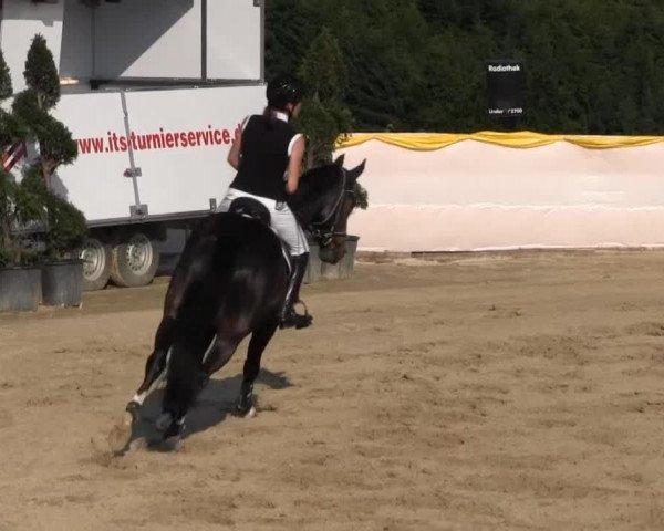 Reitturnier Lindlar Süttenbach 2013