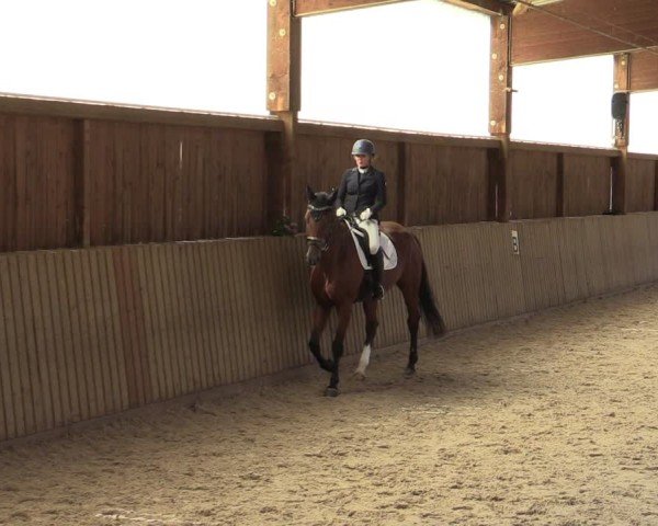 Reitturnier Bad Schmiedeberg 2024