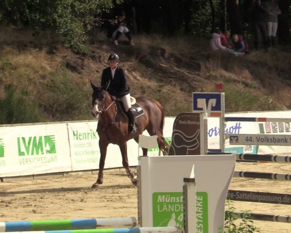 Reitturnier Albersloh 2024