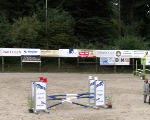 Reitturnier Sins 2024