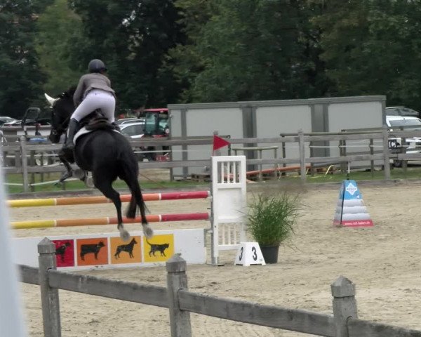 Pferdesporttage Neuendorf SO 2021