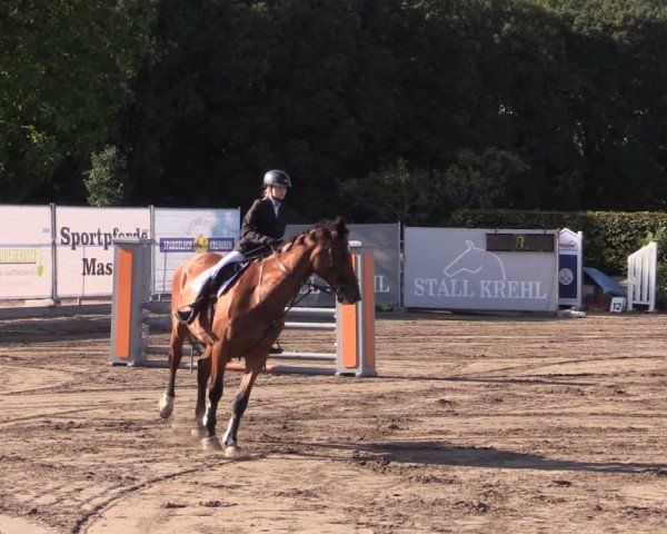 Reitturnier Lentzke - Reitanlage Krehl 2024