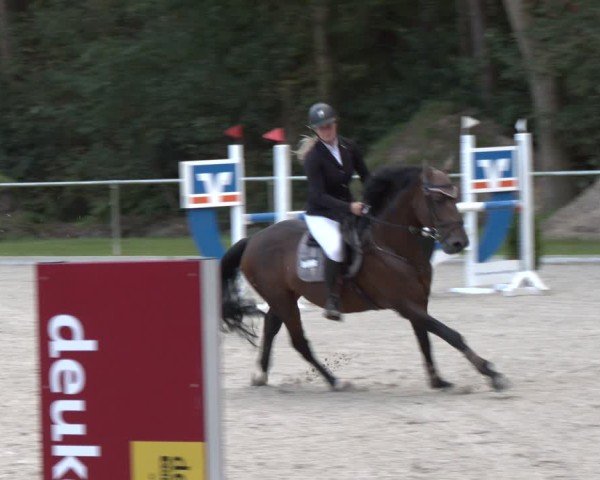 Reitturnier Dörpen 2024
