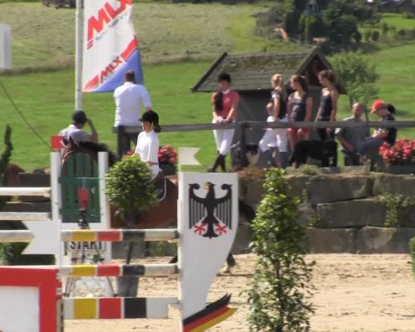 Reitturnier Lindlar Süttenbach 2013