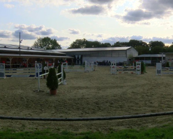 Reitturnier Laer 2024