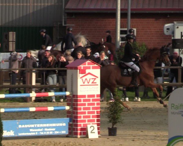Reitturnier Albersloh 2024