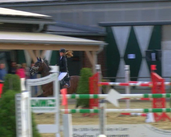 Reitturnier Laer 2024