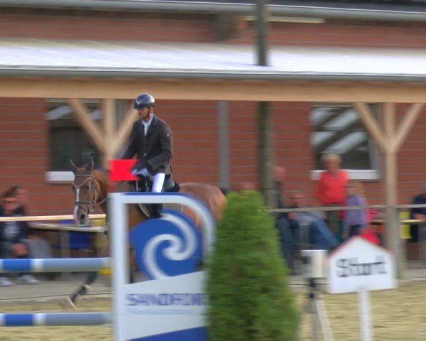 Reitturnier Laer 2024