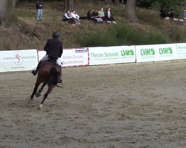 Reitturnier Albersloh 2024