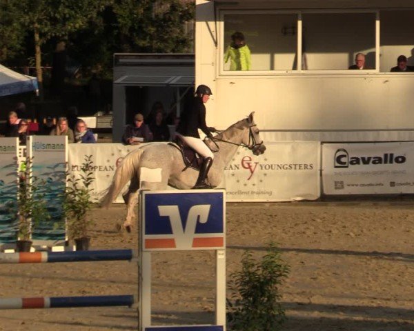 Reitturnier Albersloh 2024
