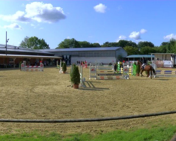 Reitturnier Laer 2024