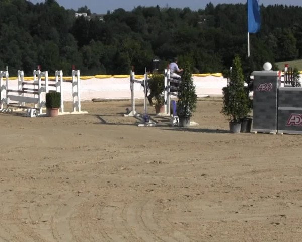Lindlar Süttenbach 2013