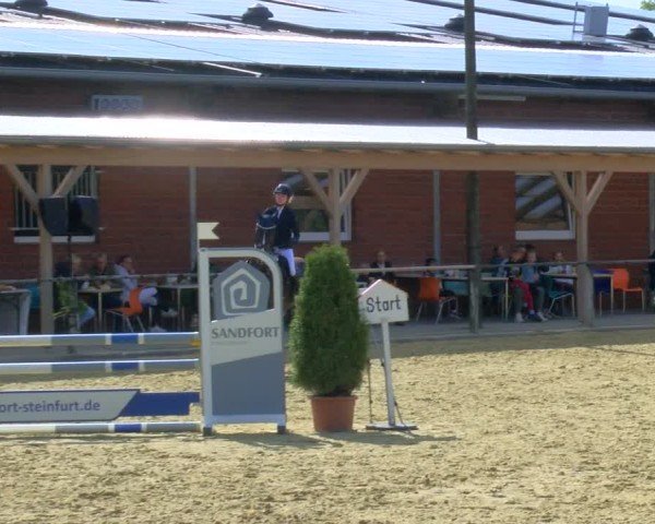 Reitturnier Laer 2024