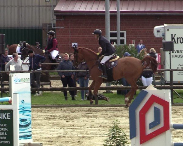 Reitturnier Albersloh 2024