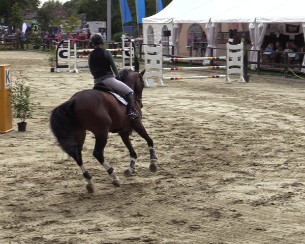 Reitturnier Albersloh 2024