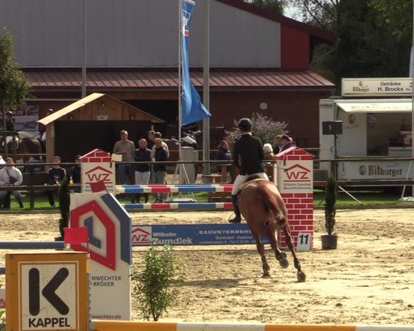 Reitturnier Albersloh 2024