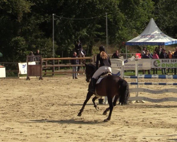 Reitturnier Albersloh 2024