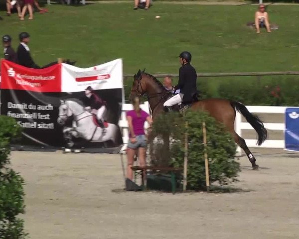 Landeschampionat Baden-Württemberg 2013