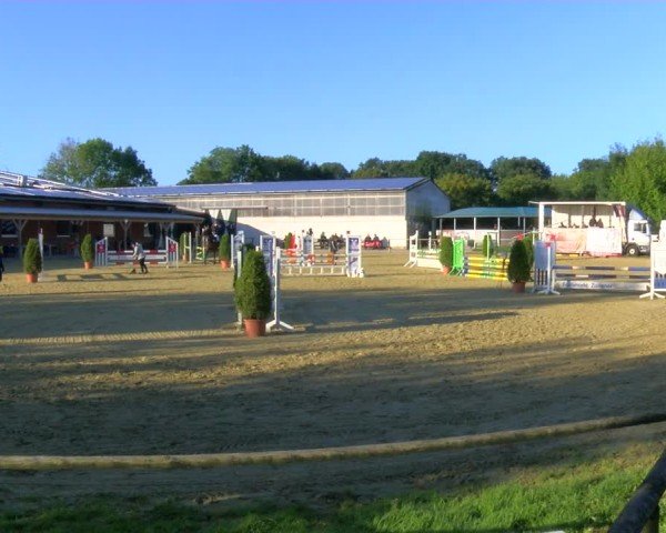 Reitturnier Laer 2024