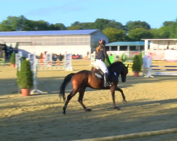 Reitturnier Laer 2024