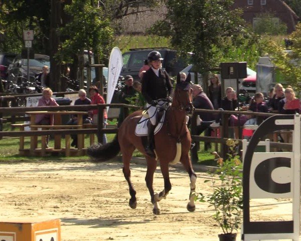 Reitturnier Albersloh 2024