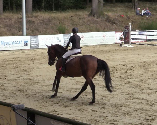Reitturnier Albersloh 2024
