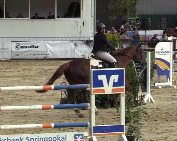 Reitturnier Albersloh 2024