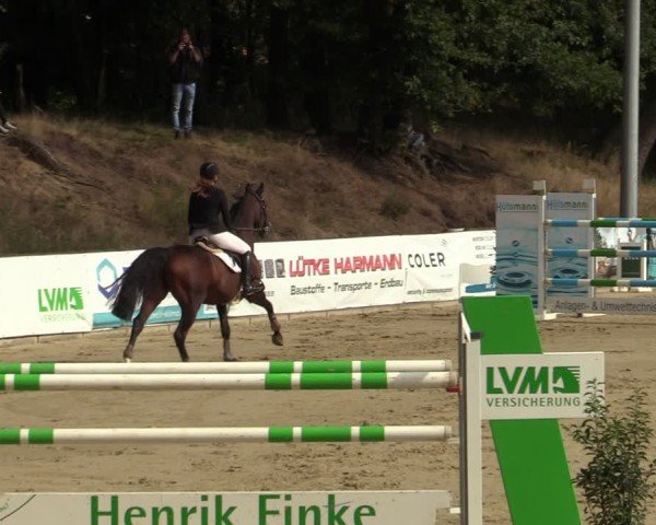 Reitturnier Albersloh 2024