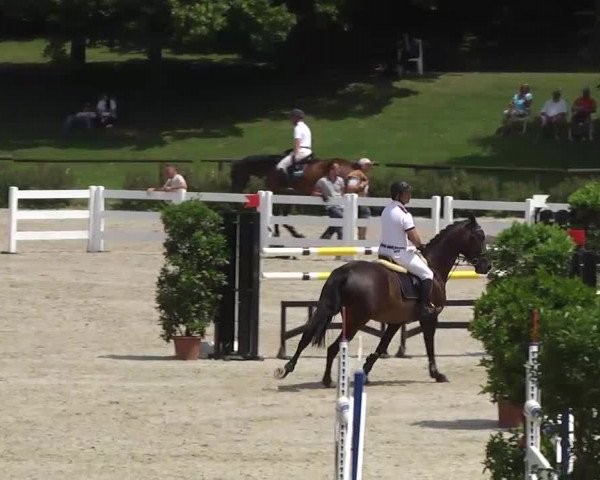 Landeschampionat Baden-Württemberg 2013