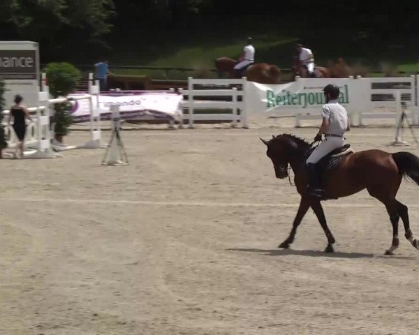 Landeschampionat Baden-Württemberg 2013