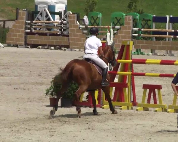 Landeschampionat Baden-Württemberg 2013