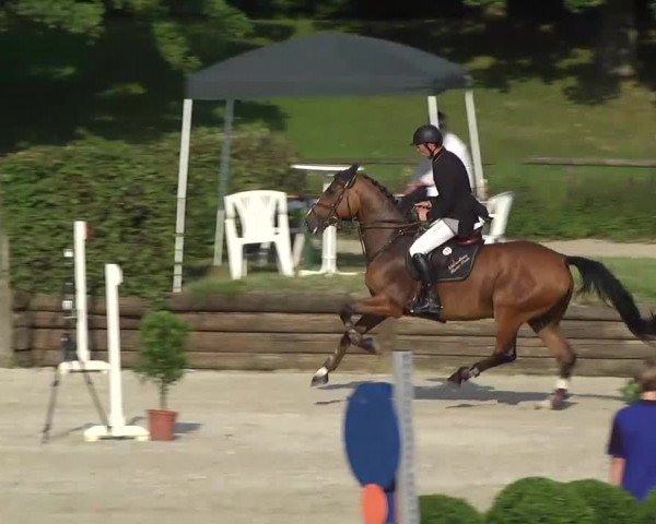 Landeschampionat Baden-Württemberg 2013