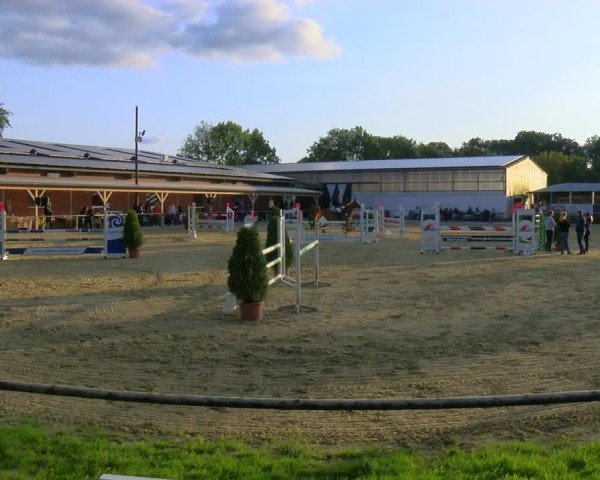 Reitturnier Laer 2024