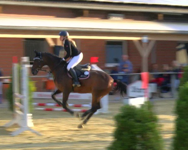 Reitturnier Laer 2024