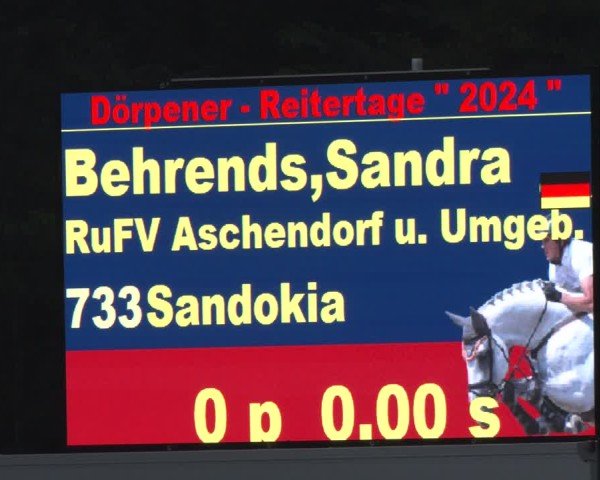 Reitturnier Dörpen 2024