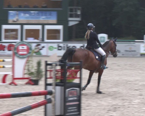 Reitturnier Dörpen 2024