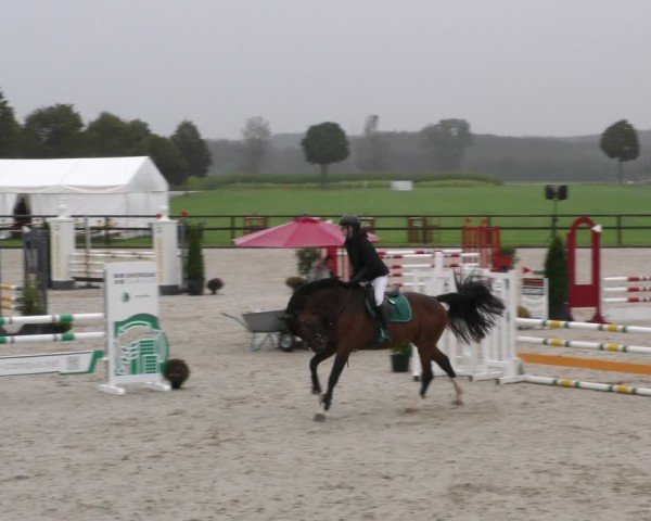Reitturnier Honsolgen-Buchloe/Schw. 2024