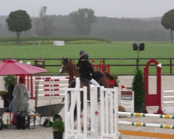 Reitturnier Honsolgen-Buchloe/Schw. 2024